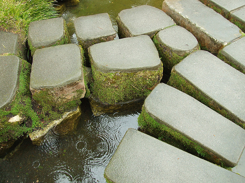 stepping stones japanese garden